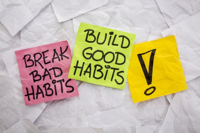 Habits good developing become successful practice goals